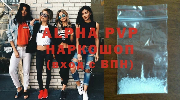 молекула духа Болотное
