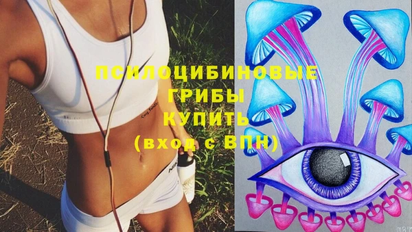 Альфа ПВП Нефтекумск