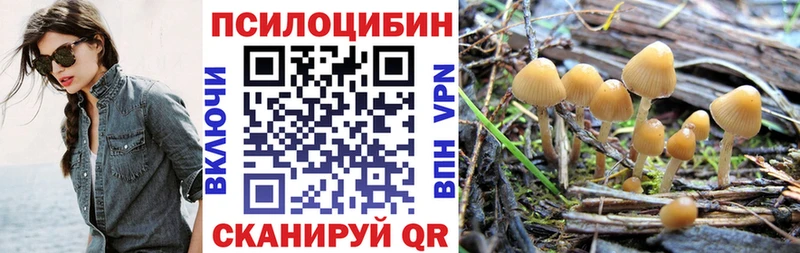 Купить где  Жуков  Псилоцибиновые грибы прущие грибы 